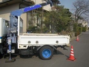道にでっぱたカイズカイブキの植替え　伐根　城陽市