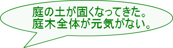 庭の土が固くなってきた。 庭木全体が元気がない。
