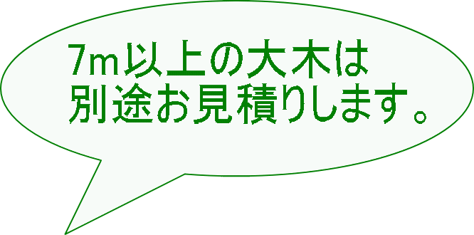 7m以上の大木は 別途お見積りします。