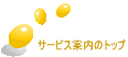 T[rXē̃gbv