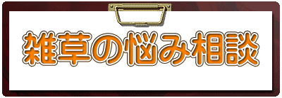 雑草の悩み相談