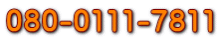 080-0111-7811